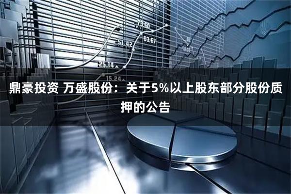 鼎豪投资 万盛股份：关于5%以上股东部分股份质押的公告
