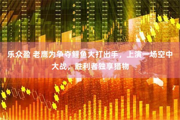 乐众盈 老鹰为争夺鲤鱼大打出手，上演一场空中大战，胜利者独享猎物