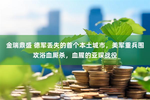 金瑞鼎盛 德军丢失的首个本土城市，美军重兵围攻浴血厮杀，血腥的亚琛战役
