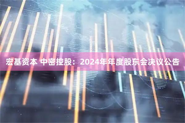 宏基资本 中密控股：2024年年度股东会决议公告