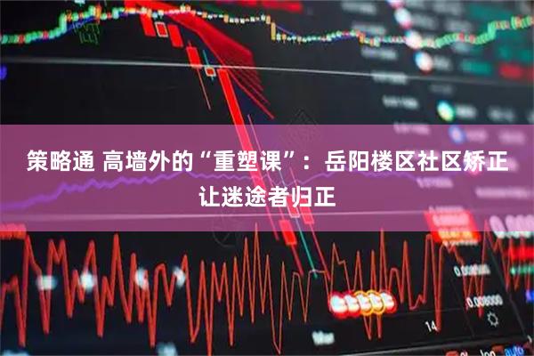 策略通 高墙外的“重塑课”：岳阳楼区社区矫正让迷途者归正