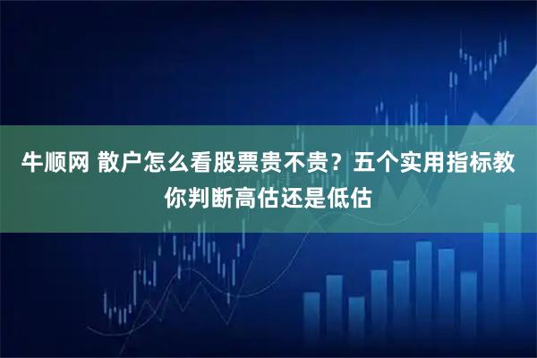 牛顺网 散户怎么看股票贵不贵?五个实用指标教你判断高估还是低估