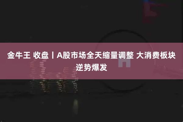金牛王 收盘丨A股市场全天缩量调整 大消费板块逆势爆发