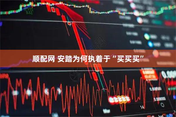 顺配网 安踏为何执着于“买买买”