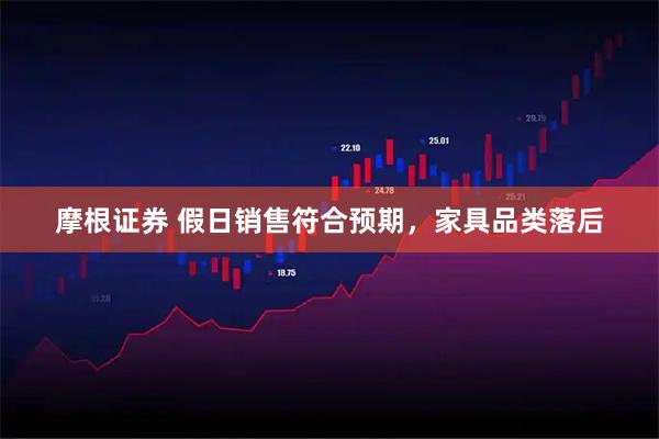 摩根证券 假日销售符合预期，家具品类落后