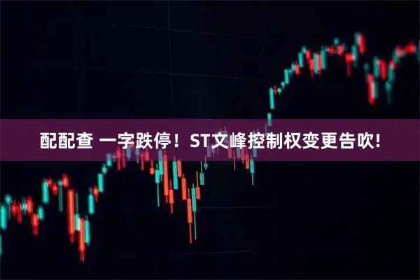 配配查 一字跌停！ST文峰控制权变更告吹!