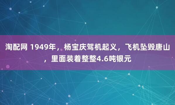 淘配网 1949年，杨宝庆驾机起义，飞机坠毁唐山，里面装着整整4.6吨银元